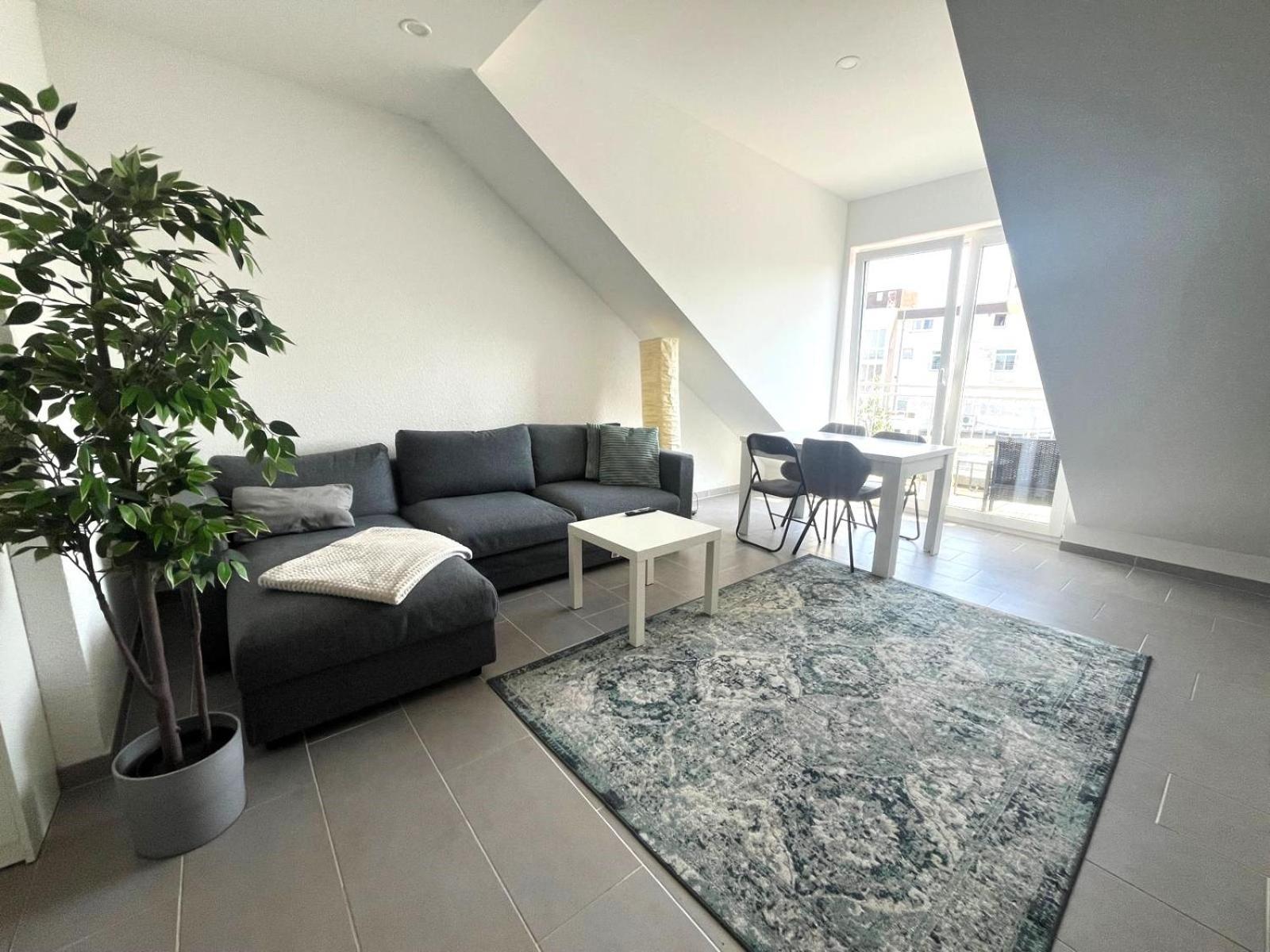 Simplex Apartments Am Europaplatz คาร์ลสรูเฮอ ห้อง รูปภาพ
